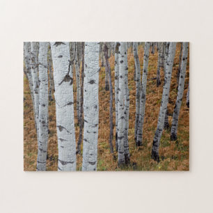 USA, Utah, Uinta-Wasatch-Cache Nationalforst 2 Puzzle