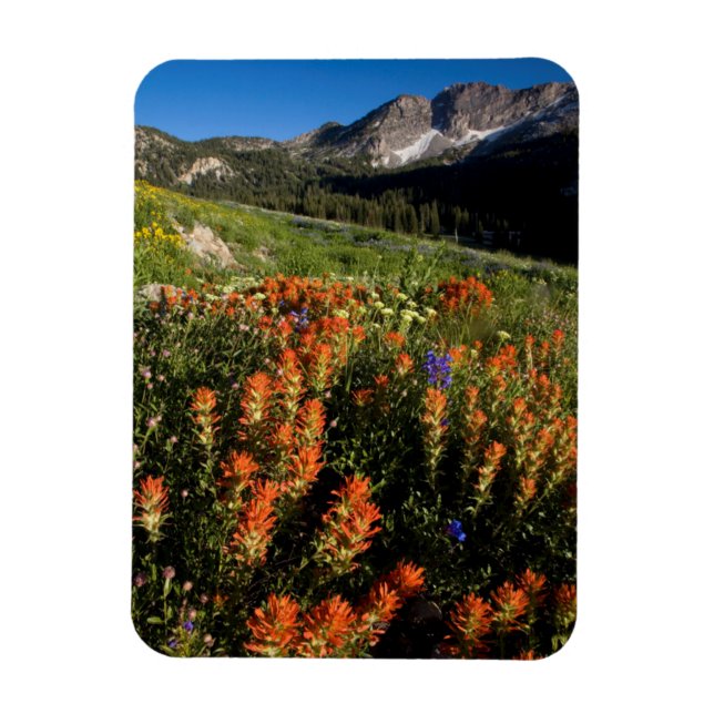 USA, Utah, Uinta-Wasatch-Cache Nationalforst Magnet (Vertikal)
