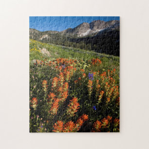 USA, Utah, Uinta-Wasatch-Cache Nationalforst Puzzle