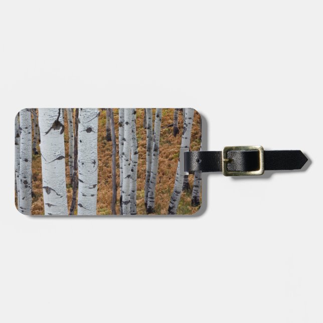 USA, Utah, Uinta-Wasatch-Cache, Nationalwald 2 Gepäckanhänger (Vorderseite horizontal)
