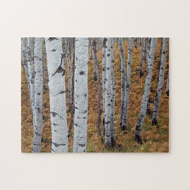USA, Utah, Uinta-Wasatch-Cache, Nationalwald 2 Puzzle (Horizontal)