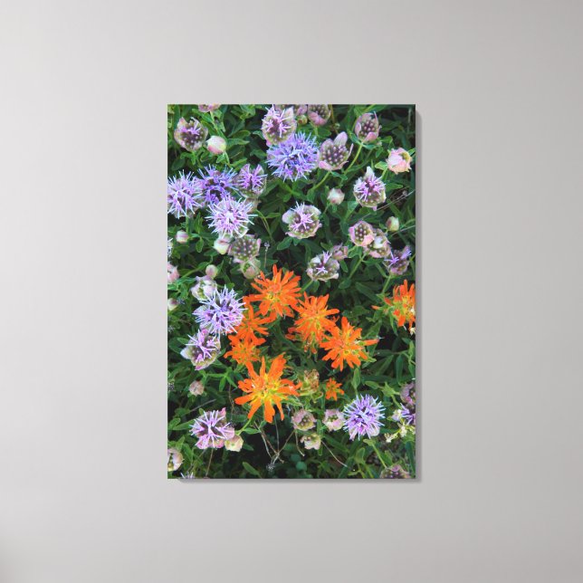 USA, Utah, Uinta-Wasatch-Cache, Nationalwald 3 Leinwanddruck (Vorderseite)