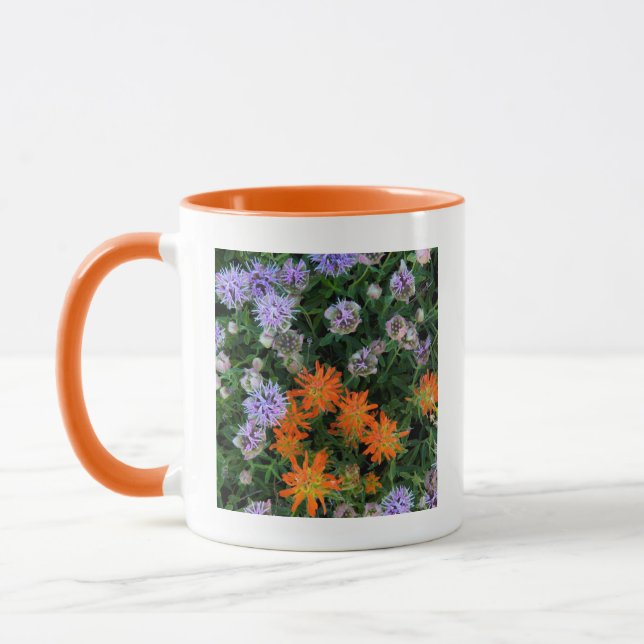 USA, Utah, Uinta-Wasatch-Cache, Nationalwald 3 Tasse (Links)