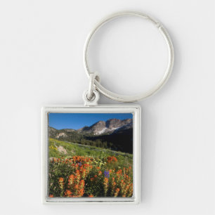 USA, Utah, Uinta-Wasatch-Cache-Nationalwald Schlüsselanhänger