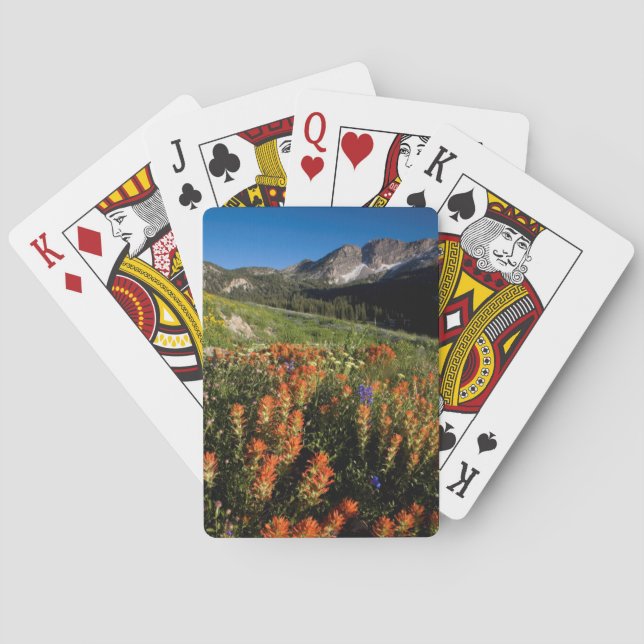 USA, Utah, Uinta-Wasatch-Pufferspeicher Spielkarten (Rückseite)