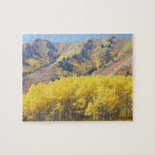 USA, Utah, Wasatch Cache National Forest, Puzzle
