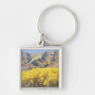 USA, Utah, Wasatch-Cache National Forest, Schlüsselanhänger