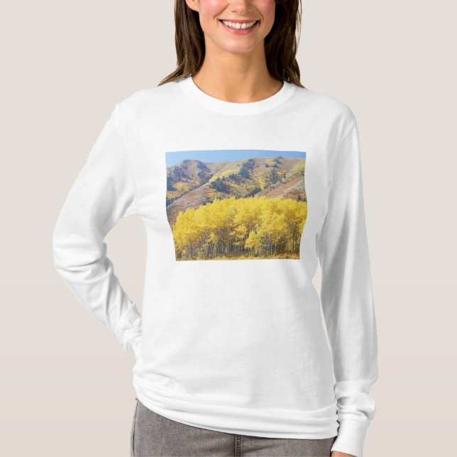 USA, Utah, Wasatch Cache National Forest, T-Shirt (Vorderseite)
