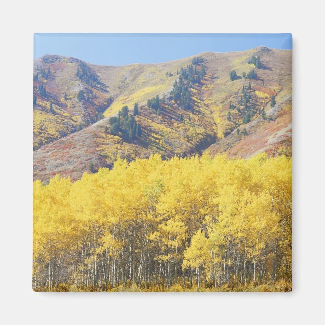 USA, Utah, Wasatch-Cache Nationalforst, Magnet (Vorne)