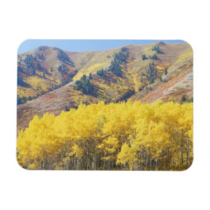 USA, Utah, Wasatch-Cache Nationalforst, Magnet