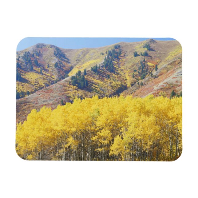 USA, Utah, Wasatch-Cache Nationalforst, Magnet (Horizontal)