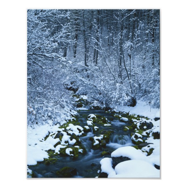 USA, Utah, Wasatch Catch National Forest, Fotodruck (Vorne)