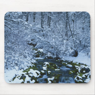 USA, Utah, Wasatch-Catch National Forest, Mousepad