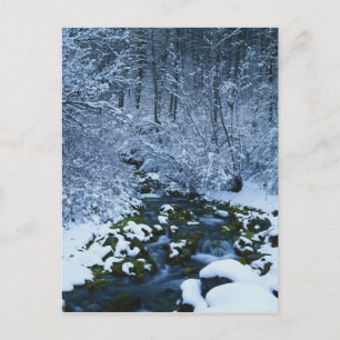 USA, Utah, Wasatch Catch National Forest, Postkarte