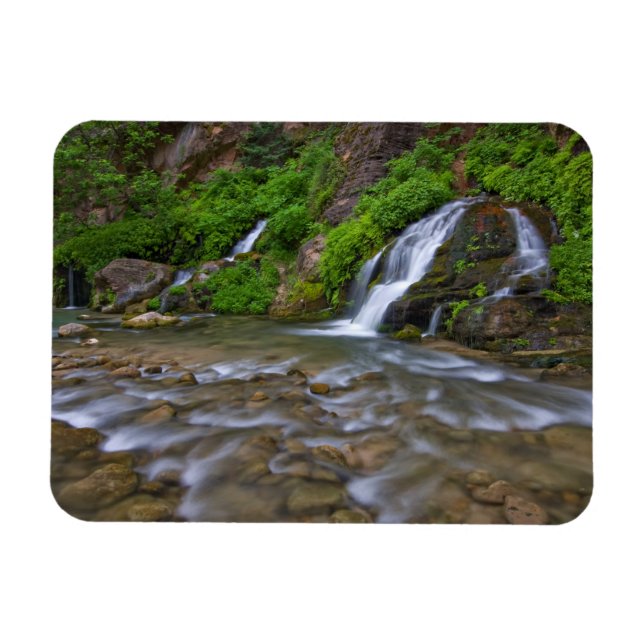 USA, Utah, Zion National Park. Big Springs in Magnet (Horizontal)