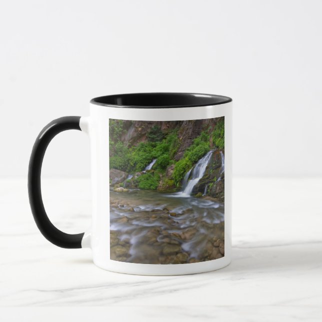 USA, Utah, Zion National Park.  Big Springs Tasse (Links)