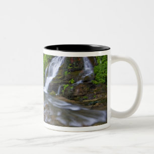 USA, Utah, Zion National Park.  Big Springs Zweifarbige Tasse