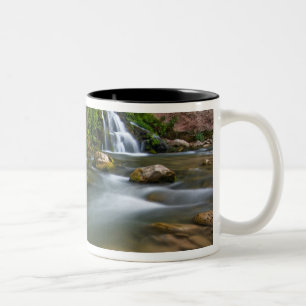 USA, Utah, Zion National Park. Die Jungfrau Zweifarbige Tasse