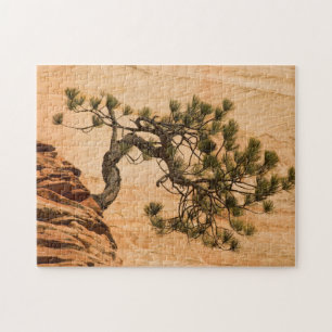 USA, Utah, Zion National Park. Kiefer Puzzle