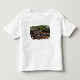 USA, Utah, Zion National Park. Landschaftlich ab 4 Kleinkind T-shirt