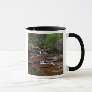 USA, Utah, Zion National Park. Landschaftlich ab 4 Tasse