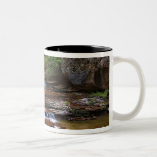 USA, Utah, Zion National Park. Landschaftlich ab 4 Zweifarbige Tasse