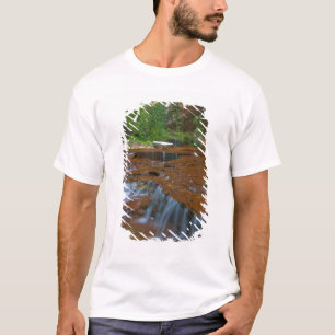 USA, Utah, Zion National Park. Landschaftlich aus T-Shirt