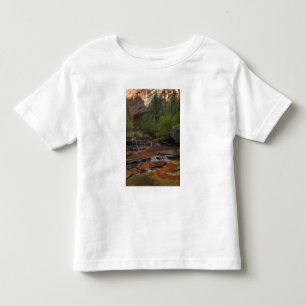 USA, Utah, Zion National Park.  Landschaftlich vom Kleinkind T-shirt