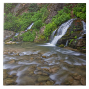 USA, Utah, Zion-Nationalpark. Big Springs in Fliese