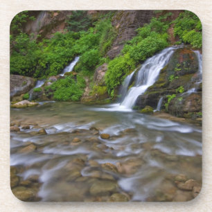 USA, Utah, Zion-Nationalpark. Big Springs in Getränkeuntersetzer