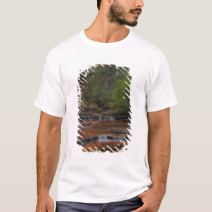 USA, Utah, Zion-Nationalpark. Landschaftlich gepr T-Shirt