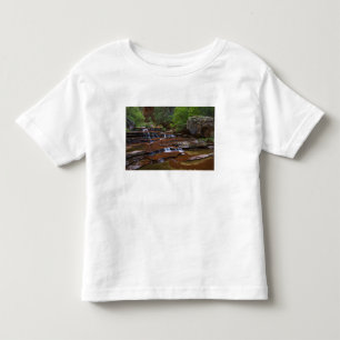 USA, Utah, Zion-Nationalpark. Landschaftlich von 4 Kleinkind T-shirt