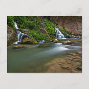USA, Utah, Zion-Nationalpark. The Virgin Postkarte