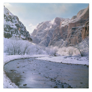 USA, Utah, Zion NP. Neuschnee bedeckt Canyon Fliese