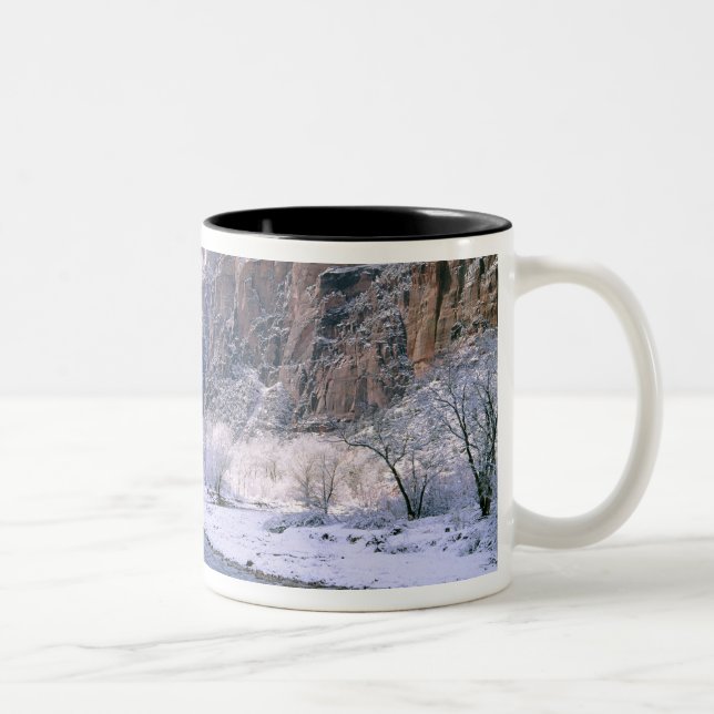USA, Utah, Zion NP. Neuschnee bedeckt Canyon Zweifarbige Tasse (Rechts)