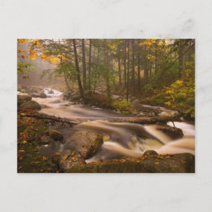 USA, Vermont, East Arlington, Fließende Bäche 2 Postkarte