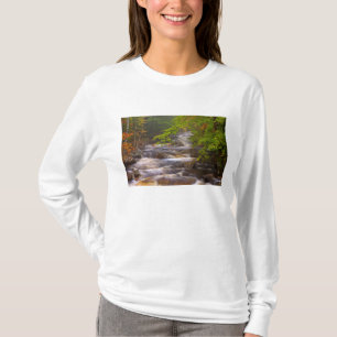 USA, Vermont, East Arlington, Fließende Bäche T-Shirt