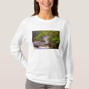 USA, Vermont, East Arlington, Fließende Bäche T-Shirt