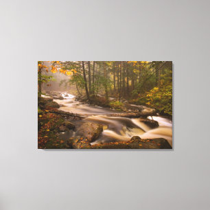 USA, Vermont, East Arlington, Flussläufe 2 Leinwanddruck