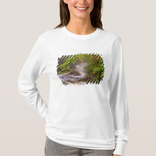 USA, Vermont, East Arlington, Wasserläufe T-Shirt