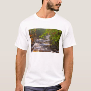 USA, Vermont, East Arlington, Wasserläufe T-Shirt