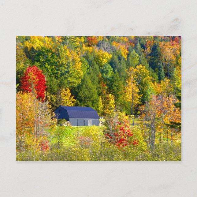USA, Vermont. Herbstfoilage entlang der Autobahn 1 Postkarte (Vorderseite)