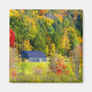 USA, Vermont. Herbstlaub entlang der Highway 100. Magnet