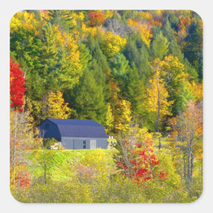 USA, Vermont. Herbstlaub entlang der Highway 100. Quadratischer Aufkleber