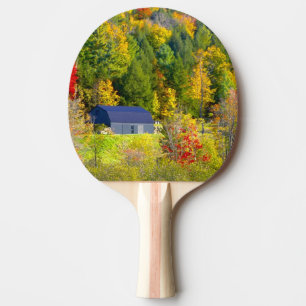 USA, Vermont. Herbstlaub entlang der Highway 100. Tischtennis Schläger