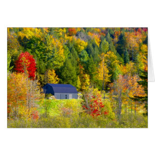 USA, Vermont. Herbstwald entlang der Autobahn 100.