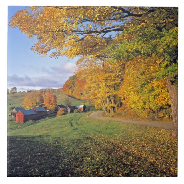 USA, Vermont, Jenne Bauernhof. Fall kommt zu Jenne Fliese (Vorderseite)