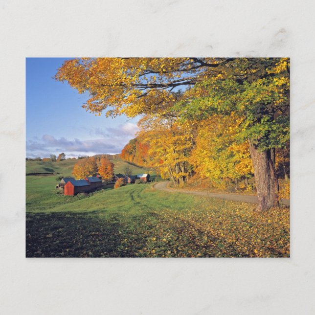 USA, Vermont, Jenne Bauernhof. Fall kommt zu Jenne Postkarte (Vorderseite)