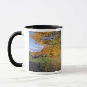 USA, Vermont, Jenne Bauernhof. Fall kommt zu Jenne Tasse
