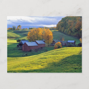 USA, Vermont, Jenne Farm. Rollende grüne Hügel Postkarte